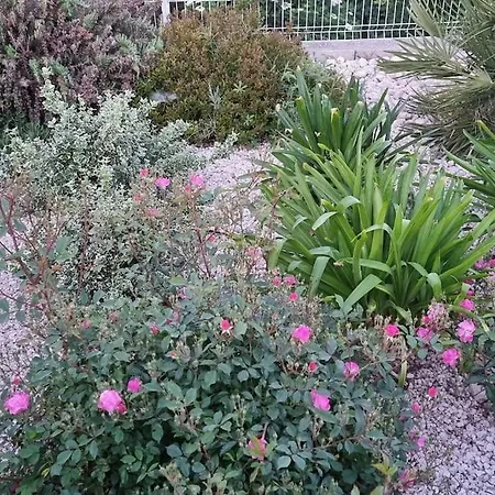 Maison Avec Grange & Piscine Vue Sur Les Pyrenees Tatil Evi *